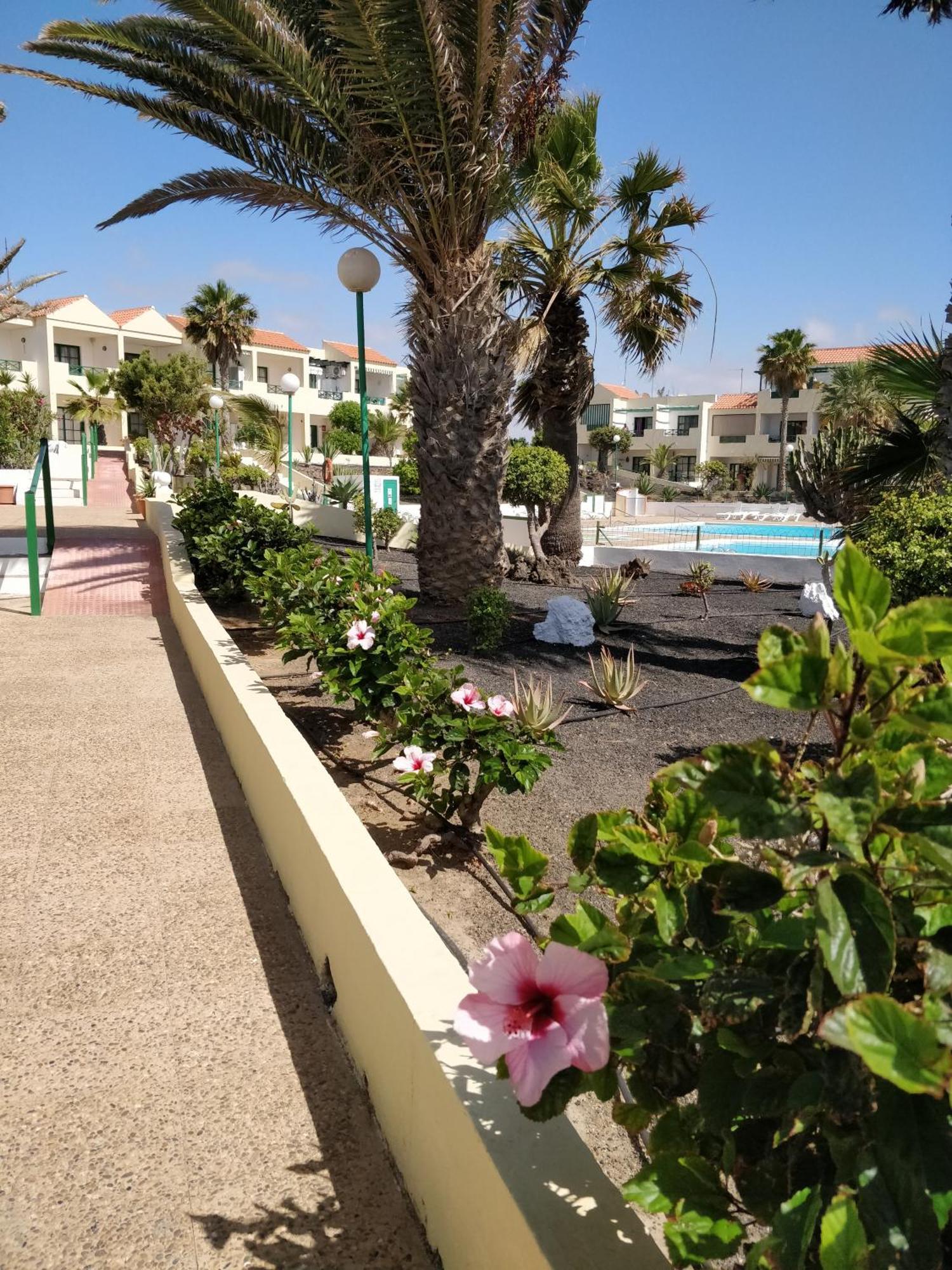 Casa Anita Lejlighed Costa De Antigua Eksteriør billede